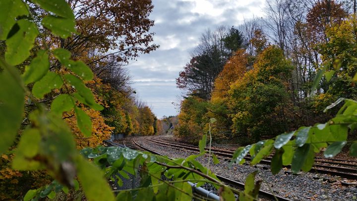 Autumn Railroad - ShuroVista