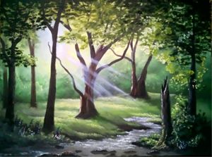 Beauty of Nature