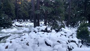 Yoemite National Park Frozen Creek