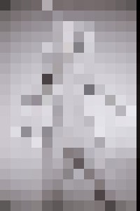 Guess where I hid the eggs? - Photography by Gary Mitchell