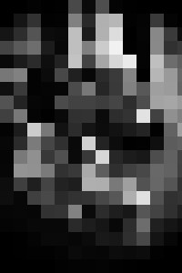 The Final Girls - Photography by Gary Mitchell - Photography, People