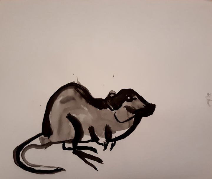 Desert Kangaroo Rat Art for Sale - Fine Art America
