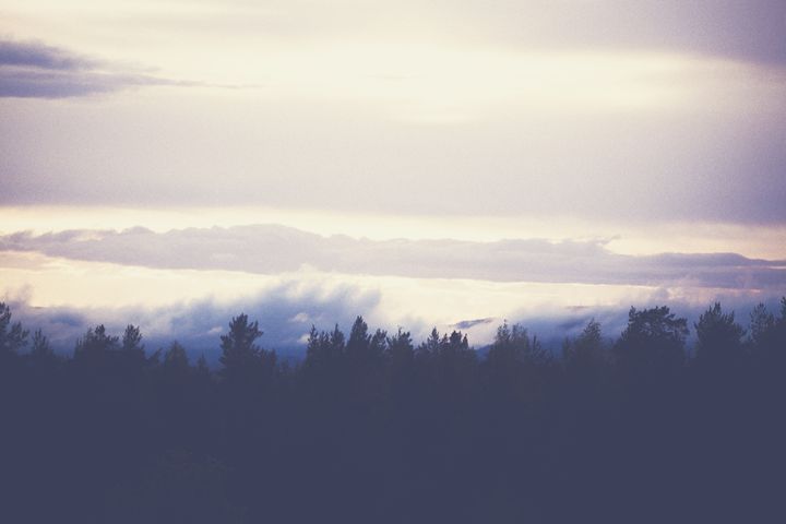 A Foggy Forest - iHateFabian
