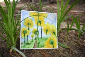 Sunflowers