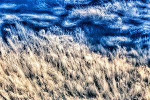 Dramatic Sky