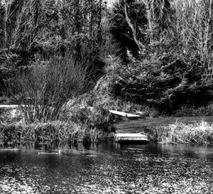 Lake sdie