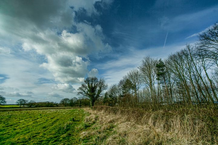 Cheshire - Ian Kydd Miller