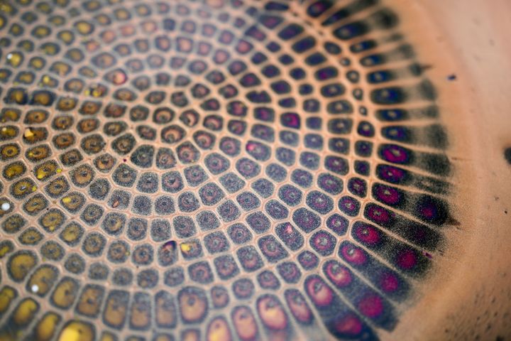 Experiment 153 - Selene's Art - Paintings & Prints, Abstract, Color ...