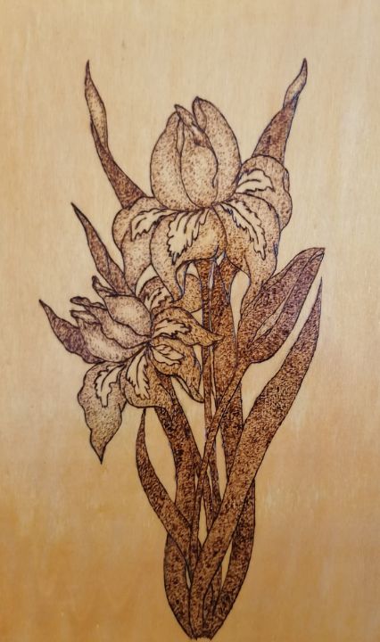 Iris flower - Katya's Art