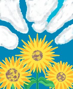 Sunflower skies