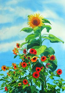Sunflowers - Mary Helmreich California Watercolors