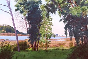 Eucalyptus Trees Batiquitos Lagoon - Mary Helmreich California Watercolors