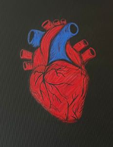 The Human Heart - Thegirlwho_paints
