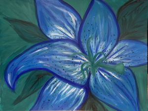 Blue Lily