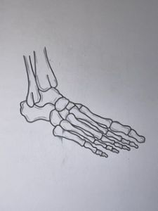 Foot and Ankle - Gabbi's Drawings