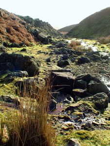 Ancient moorland stream - Tony Walling Creative Arts