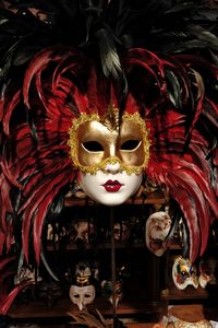 Venetian feathered mask
