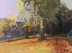 Impression of trees in early Fall - Tony Walling Creative Arts