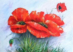 Poppy