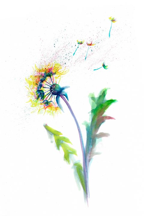 Inhale Exhale Dandelion Watercolour Print Whimsical -  Norway