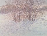 Snow - Trees | Texas Art Prints