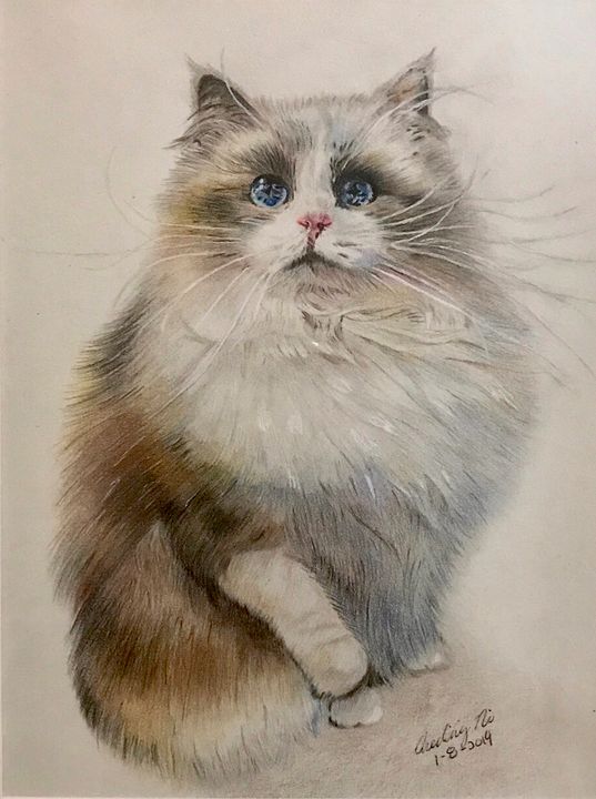 Wondering cat - Mochi’s Art Studio