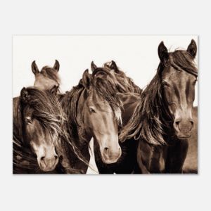 Spirit of Freedom Tribal Horse - Getmeorforgetme Design - Digital