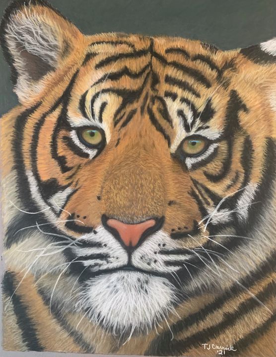 Eye of the Tiger - Joy of Art - Drawings & Illustration, Animals, Birds, &  Fish, Wild Cats, Tigers - ArtPal