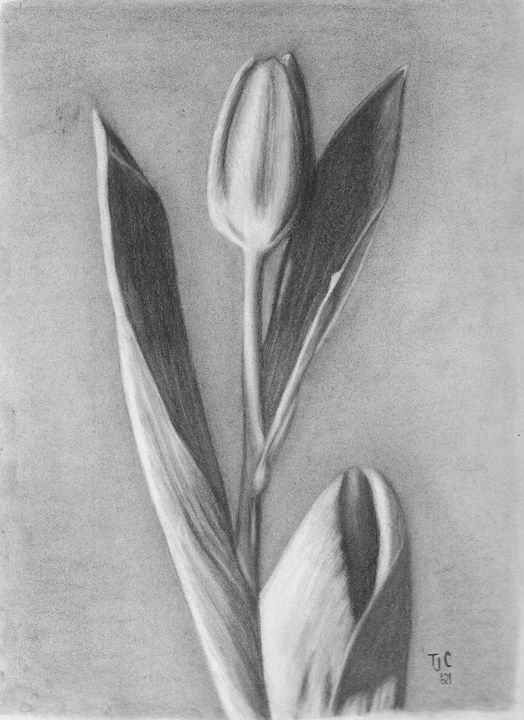 Pencil shading flower vase | Swirls n Curls