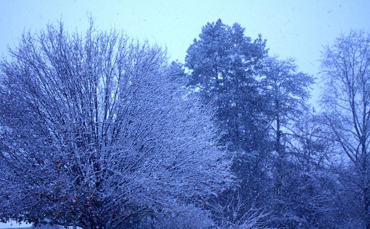 Winter Snow - Ashley Art
