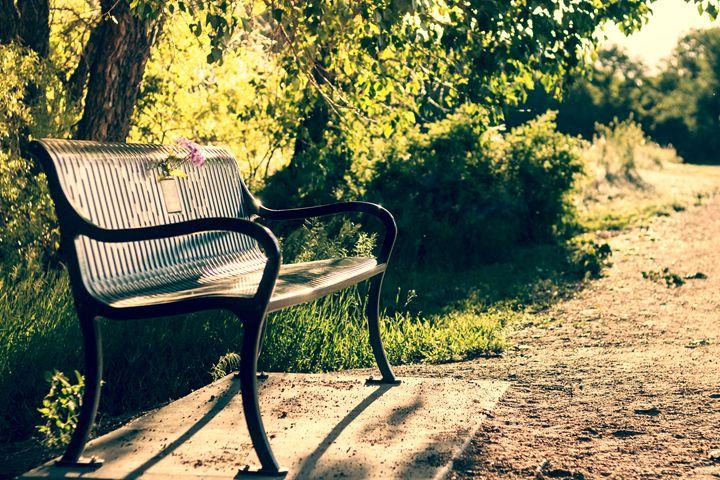 Park Bench - Mike Sinko Photography