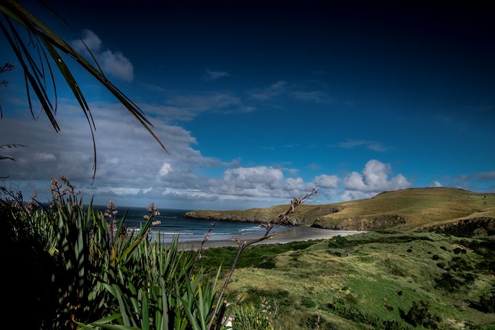 Coastal views of New Zealand - photo land