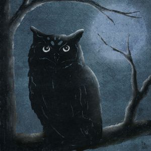 moonlight owl