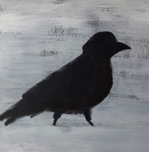 blackbird in snow