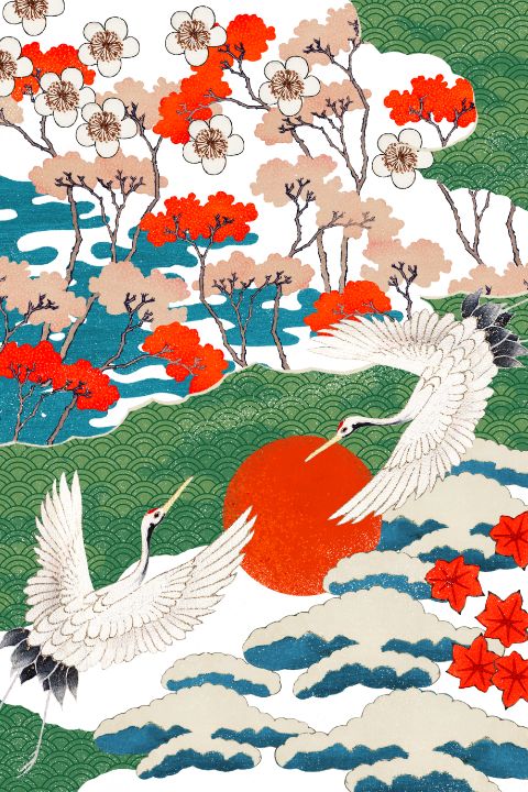 Japanese Red Crowned Crane Flying - Illustronii - Drawings ...