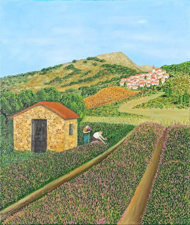 The lavender harvest - Ruggero Ruggieri