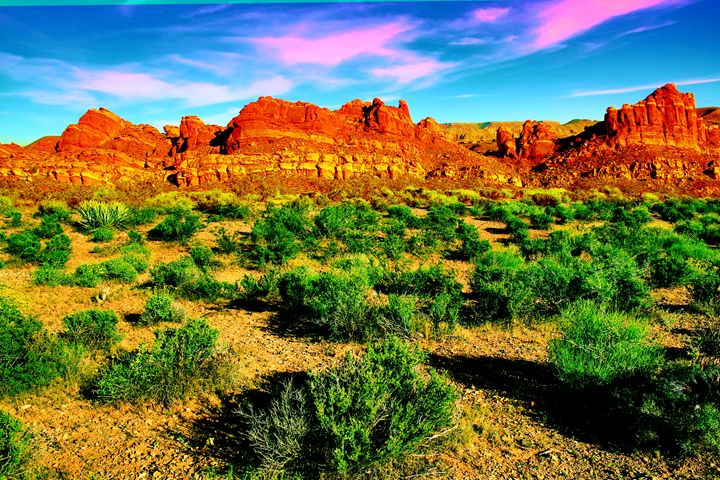 Desperado en Arizona 🏜️ 