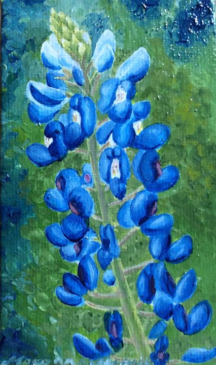 Blue bonnet - Morgan McGuirk's Paintings