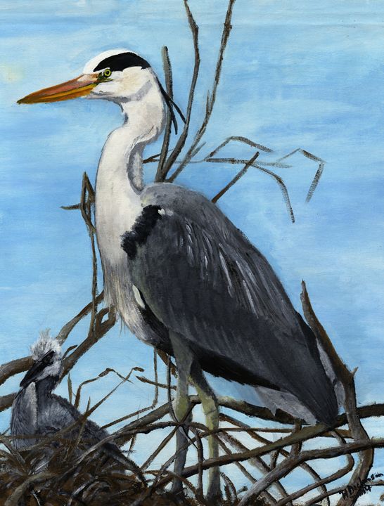 Proud Father Heron - Down To Earth Artwork