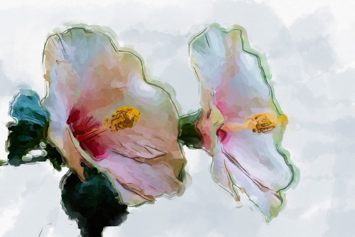 Hibiscus in Watercolor - Honu Press