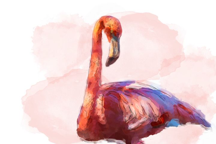 Flamingo - Honu Press