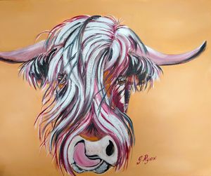 "Cowlick" Highland Cow
