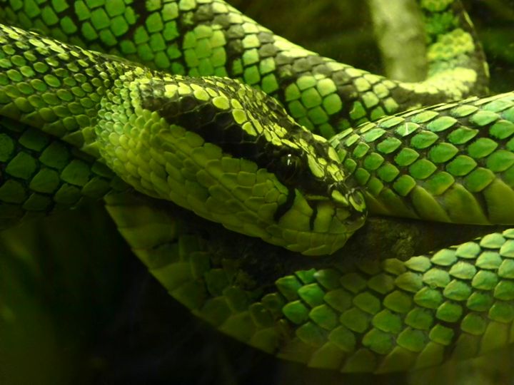 J&J Photography Photography