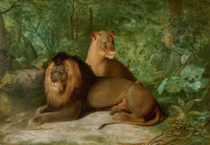 Lion and Lioness - Classical Artworks Bay