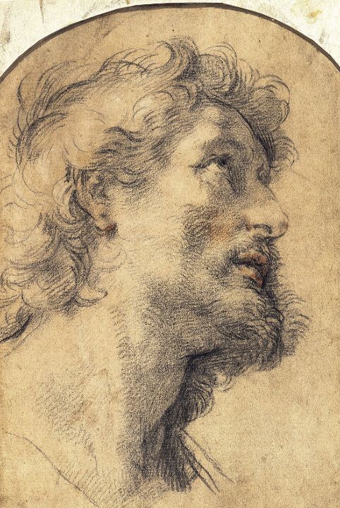 Study of Head of Saint Crispin Classical Artworks Bay - Paintings & Prints, People & Figures, Other People & Figures, Male - ArtPal