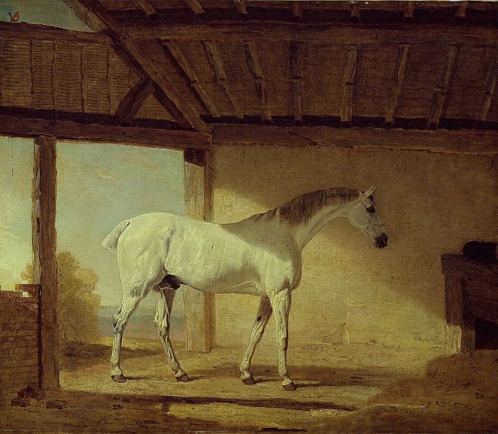 The Earl of Coventry s Horse Classical Artworks Bay Paintings