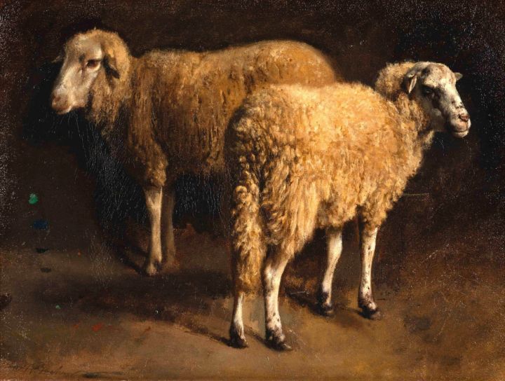 Study of Two Sheep - Classical Artworks Bay