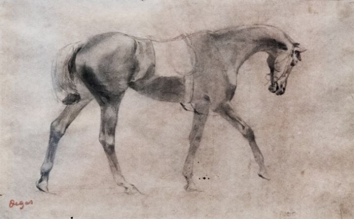 Ferdinand, Straight From The Horses Mouth: Three Beautiful Horses