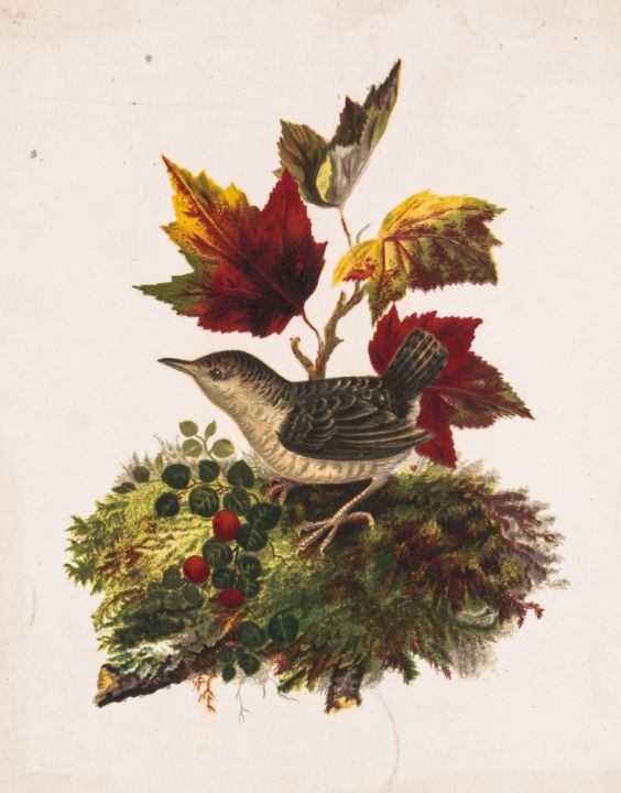 Bird with autumn foliage - Classical Artworks Bay - Paintings & Prints,  People & Figures, Other People & Figures, Male - ArtPal