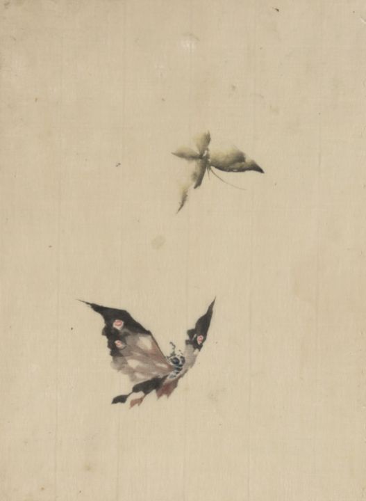 Butterfly and moth - Classical Artworks Bay - Paintings & Prints
